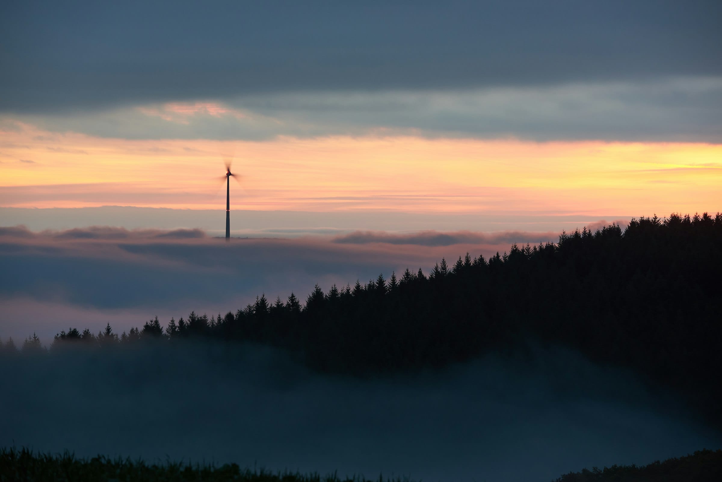 A single wind turbine emerging from dawn fog, representing Moweb's cross-industry enterprise AI work